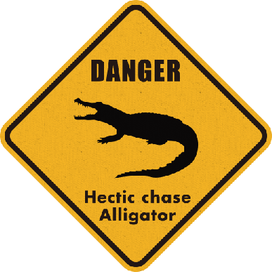 Hectic chase Alligator