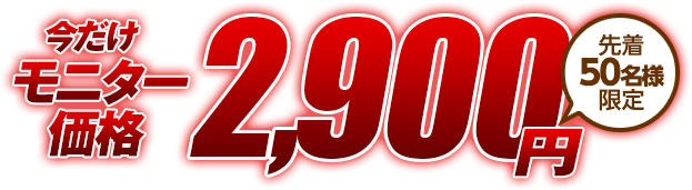 特別価格2,900円