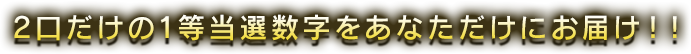 2口だけの1等当選数字をあなただけにお届け！！
