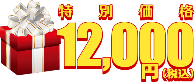 特別価格12,000円（税込み）