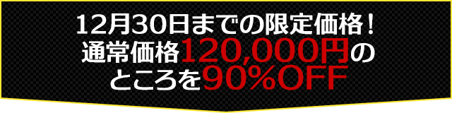 12月30日までの限定価格！通常価格120,000円のところを90％OFF