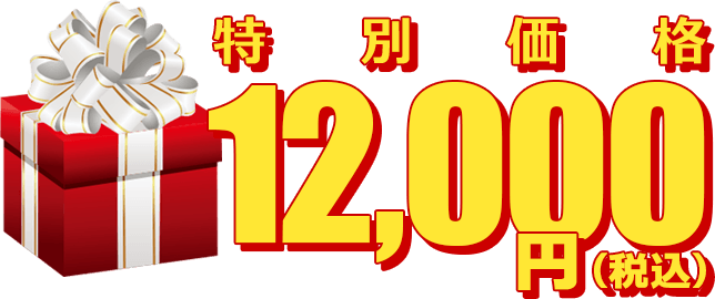 特別価格12,000円（税別み）