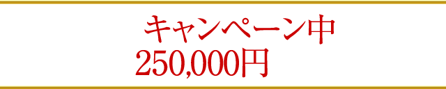 ただいまキャンペーン中につき、通常価格250000円のところを…