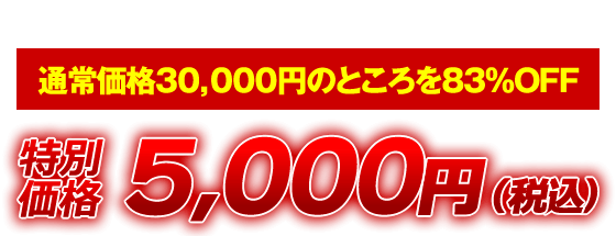 先着50名様限定！！提供数に達し次第終了！！ 通常価格30,000円のところを83％OFF 特別価格5,000円（税込）