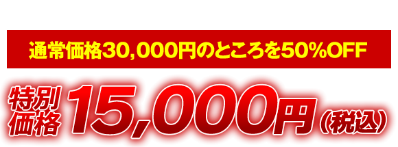 2013年12月26日までのお申し込みで通常価格30,000円のところを50％OFF 特別価格15,000円（税込）