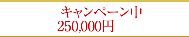 ただいまキャンペーン中につき通常価格250,000円のところを…