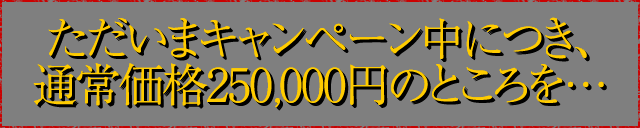 ただいまキャンペーン中につき、通常価格250,000円のところを…