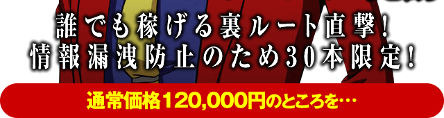 誰でも稼げる裏ルート直撃！情報漏洩防止のため30本限定！