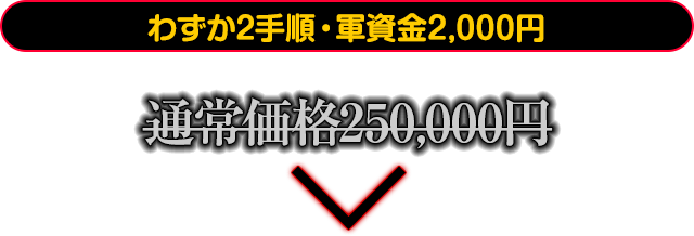 わずか2手順・軍資金2,000円