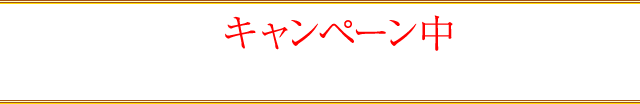 ただいまキャンペーン中につき特別価格でのご提供！