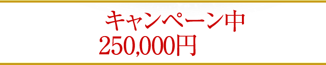 ただいまキャンペーン中につき、通常価格250,000円のところを…