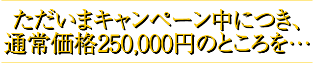 ただいまキャンペーン中につき、通常価格250,000円のところを…