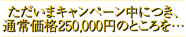 ただいまキャンペーン中につき、通常価格250,000円のところを…