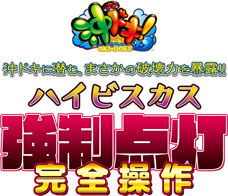 ハイビスカス強制点灯完全操作