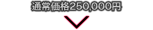 通常価格250,000円のところを…