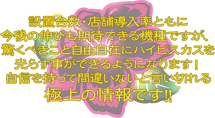 設置台数・店舗導入率ともに今後の伸びも期待できる機種ですが、驚くべきこと自由自在にハイビスカスを光らす事ができるようになります！自信を持って間違いないと言い切れる極上の情報です!!