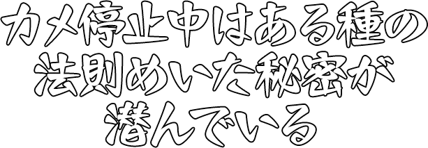 カメ停止中はある種の法則めいた秘密が潜んでいる