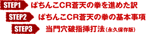 【ステップ1】ぱちんこCR蒼天の拳を薦めた訳 【ステップ2】ぱちんこCR蒼天の拳の基本事項 【ステップ3】当門穴破指挿打法（永久保存版）