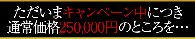 ただいまキャンペーン中につき通常価格250,000円のところを…