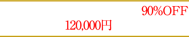 ただいまキャンペーン中につき90％OFF！通常価格120,000円のところを…