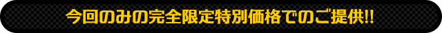 【先着30名様限定】10周年記念特別価格!!通常価格20万円を…