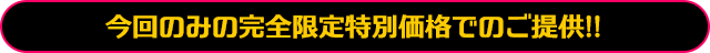 今回のみの完全限定特別価格でのご提供!!