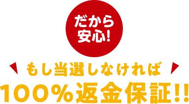 安心の効果が出なければ100％返金保証