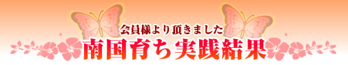 難読育ち 実践結果