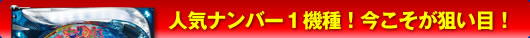 人気ナンバー1機種！今こそが狙い目！